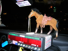 cab pony
