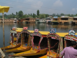Boats lined up in Dal lake